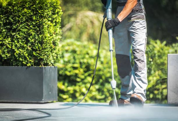 Best Solar Panel Cleaning  in Allyn, WA